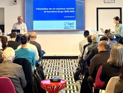 Nouveaux march&eacute;s gaz : cap sur le renouvelable